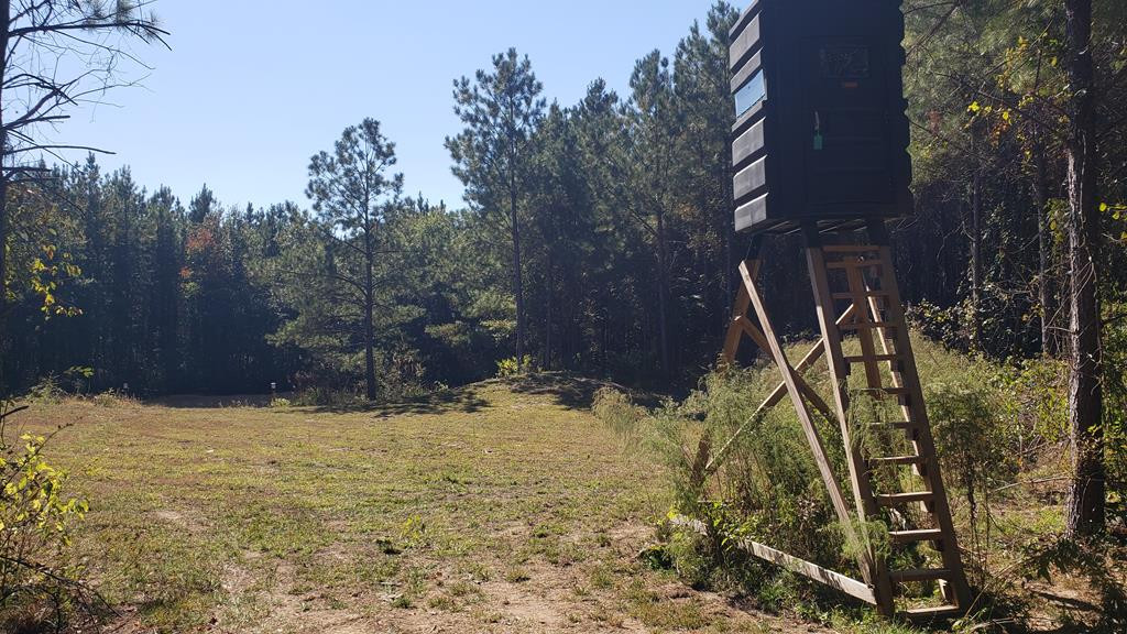 4039 Dixie Garden Road Wesson, MS 39191 - Photo 28 of 70 Photo 30