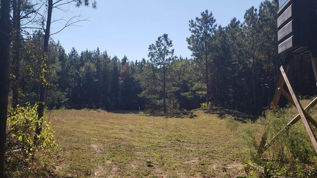 4039 Dixie Garden Road Wesson, MS 39191 - Photo 29 of 70 Photo 31