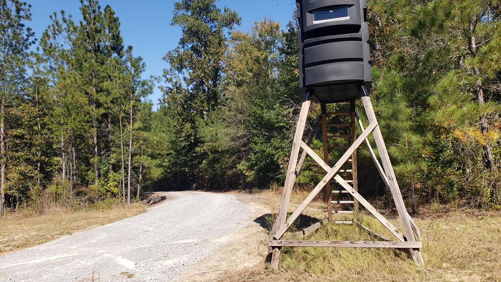 4039 Dixie Garden Road Wesson, MS 39191 - Photo 3 of 70 Photo 3