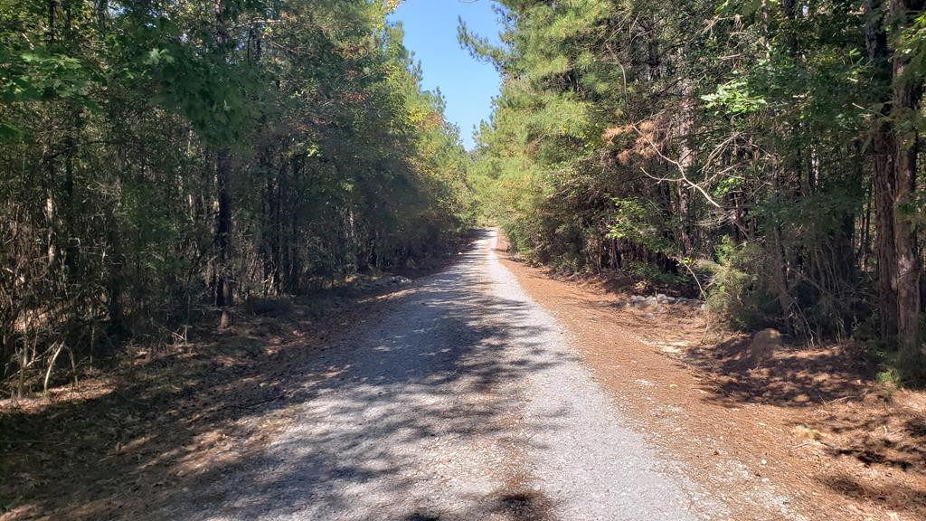 4039 Dixie Garden Road Wesson, MS 39191 - Photo 31 of 70 Photo 33
