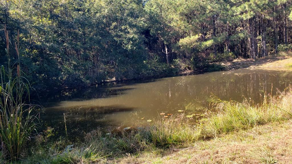 4039 Dixie Garden Road Wesson, MS 39191 - Photo 32 of 70 Photo 34