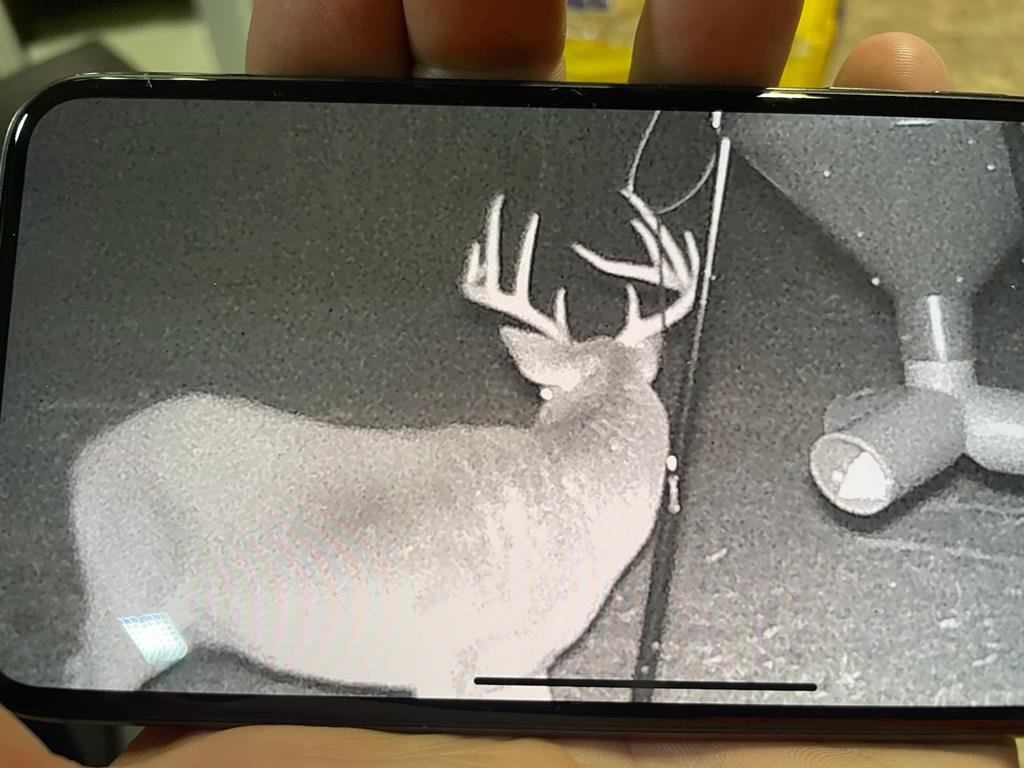 4039 Dixie Garden Road Wesson, MS 39191 - Photo 34 of 70 Photo 36