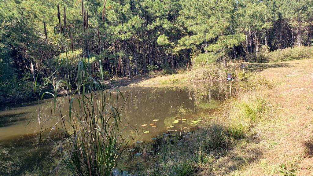 4039 Dixie Garden Road Wesson, MS 39191 - Photo 35 of 70 Photo 37