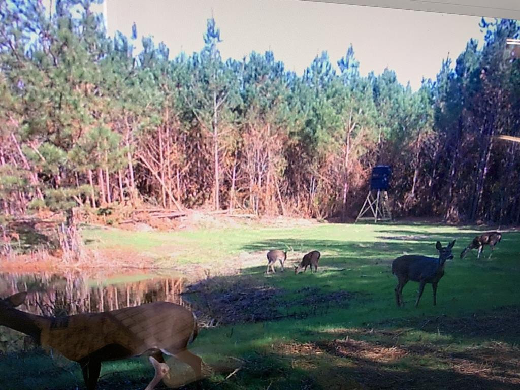 4039 Dixie Garden Road Wesson, MS 39191 - Photo 36 of 70 Photo 39