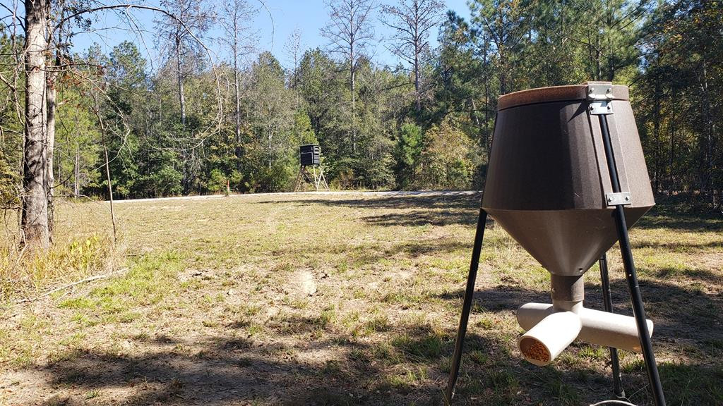 4039 Dixie Garden Road Wesson, MS 39191 - Photo 38 of 70 Photo 44
