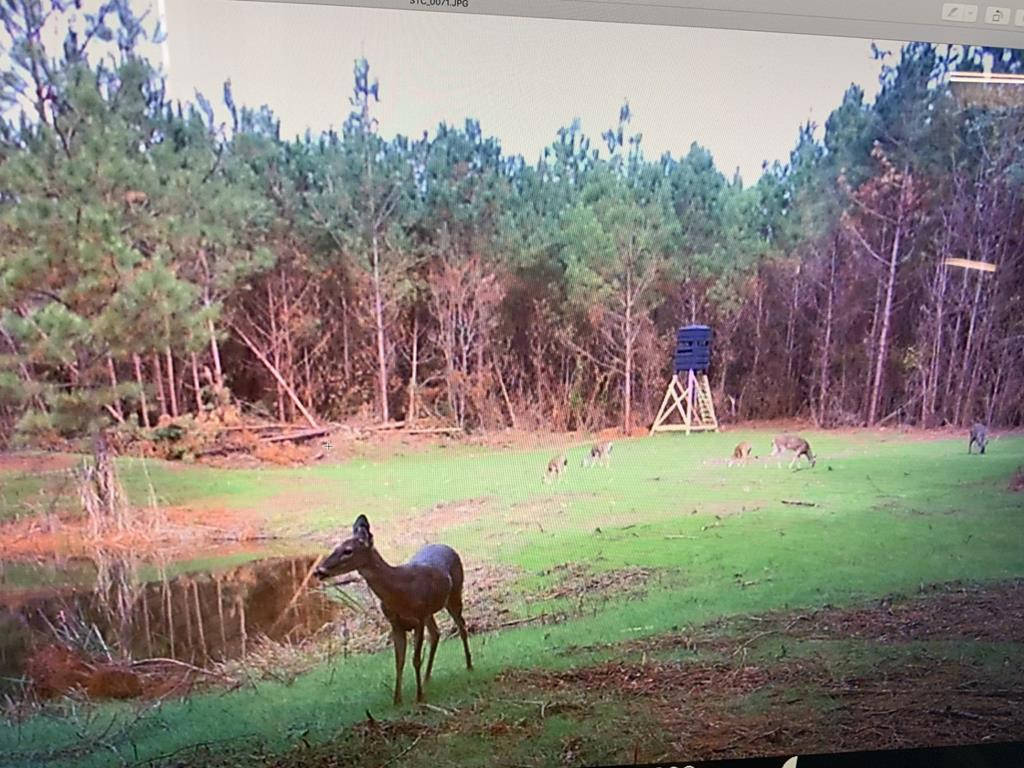 4039 Dixie Garden Road Wesson, MS 39191 - Photo 41 of 70 Photo 47