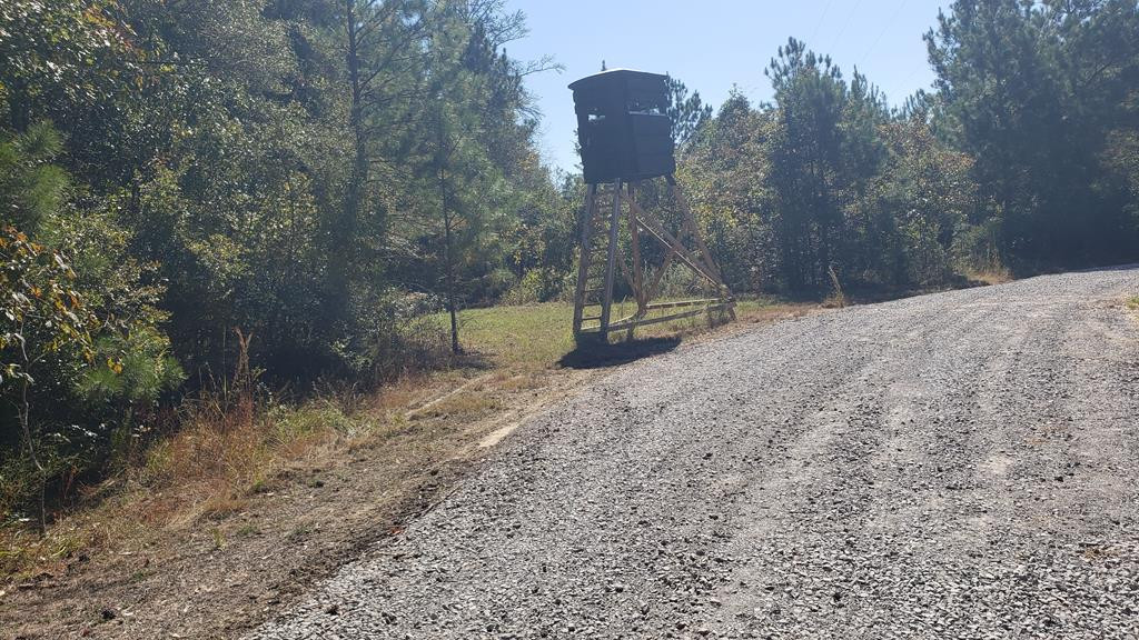4039 Dixie Garden Road Wesson, MS 39191 - Photo 45 of 70 Photo 52
