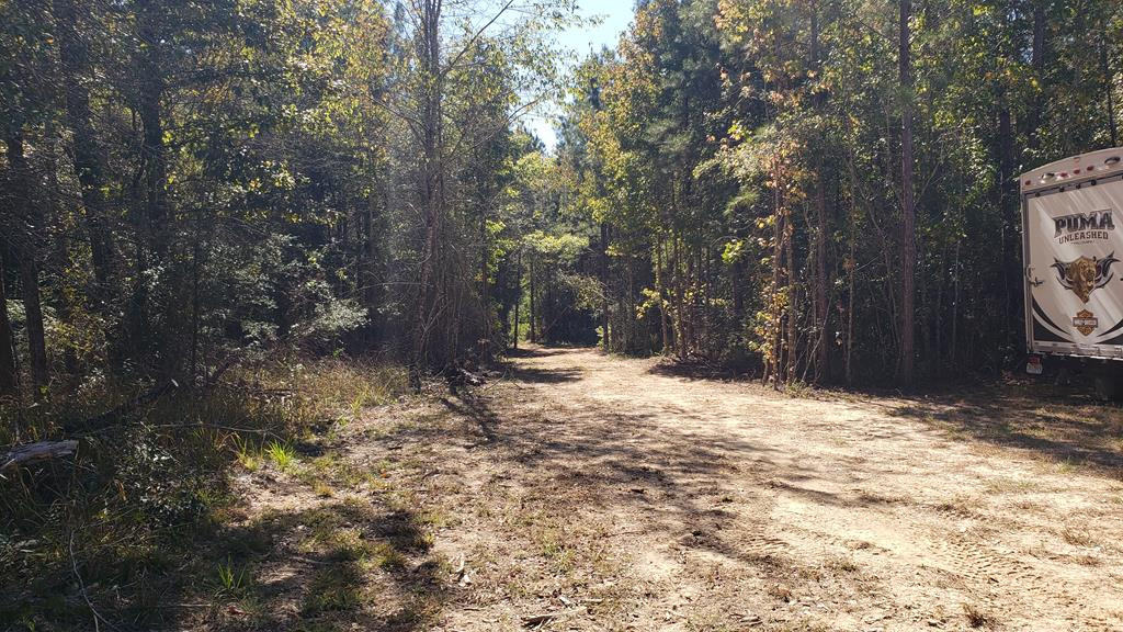 4039 Dixie Garden Road Wesson, MS 39191 - Photo 48 of 70 Photo 55