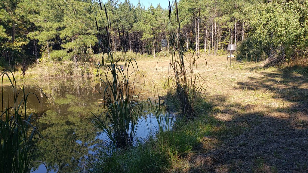 4039 Dixie Garden Road Wesson, MS 39191 - Photo 5 of 70 Photo 5