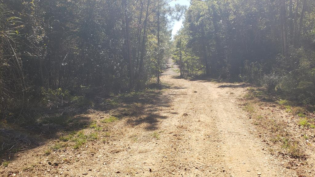 4039 Dixie Garden Road Wesson, MS 39191 - Photo 51 of 70 Photo 60