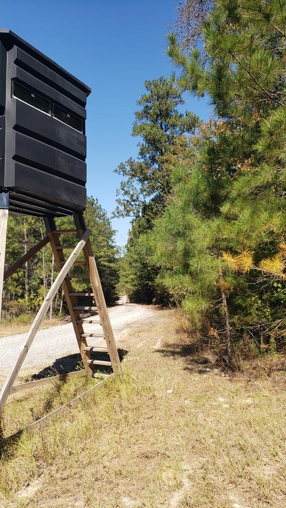 4039 Dixie Garden Road Wesson, MS 39191 - Photo 53 of 70 Photo 63