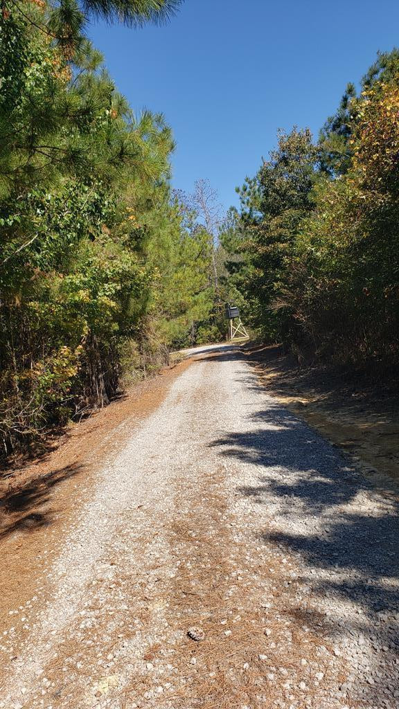 4039 Dixie Garden Road Wesson, MS 39191 - Photo 57 of 70 Photo 67
