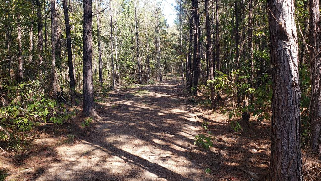 4039 Dixie Garden Road Wesson, MS 39191 - Photo 58 of 70 Photo 68