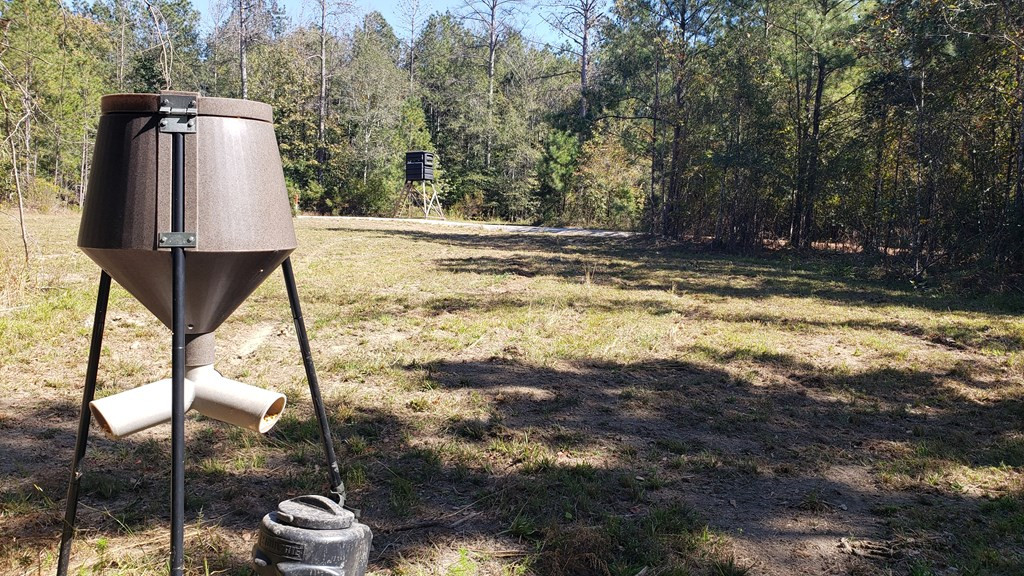 4039 Dixie Garden Road Wesson, MS 39191 - Photo 6 of 70 Photo 6
