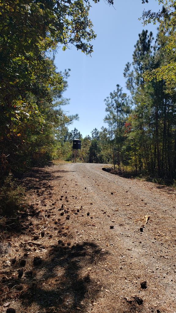 4039 Dixie Garden Road Wesson, MS 39191 - Photo 61 of 70 Photo 71