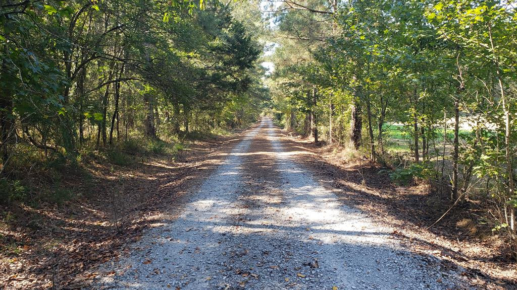 4039 Dixie Garden Road Wesson, MS 39191 - Photo 9 of 70 Photo 9