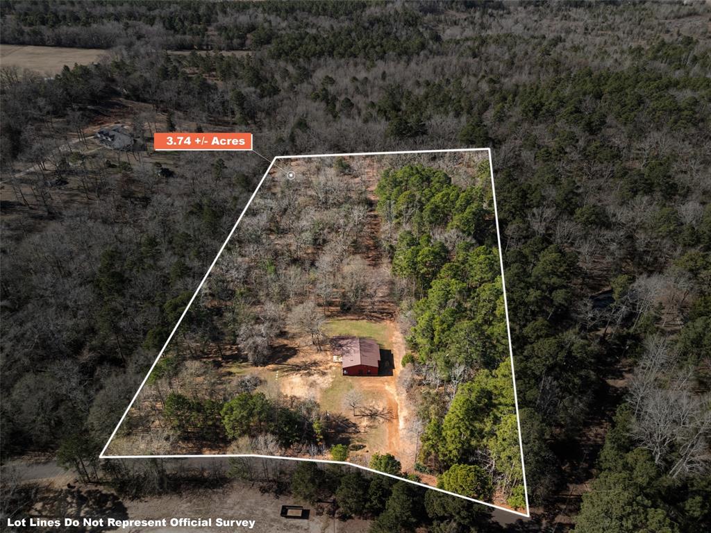 1384 Red Maple Road Big Sandy, TX 75755 - Photo 3 of 35