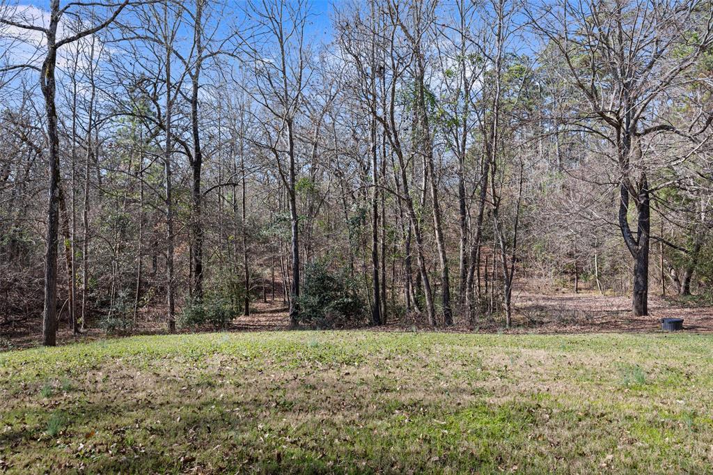 1384 Red Maple Road Big Sandy, TX 75755 - Photo 31 of 35