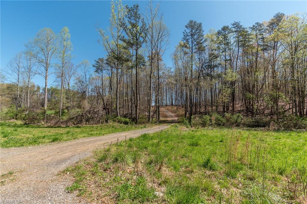 0 Mt Zion Road, Unit TRACT 6 Pinnacle, NC 27043 - Photo 11 of 25