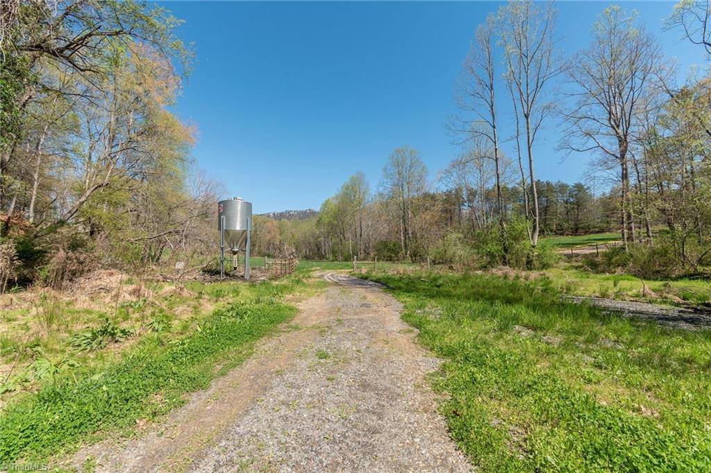 0 Mt Zion Road, Unit TRACT 6 Pinnacle, NC 27043 - Photo 12 of 25