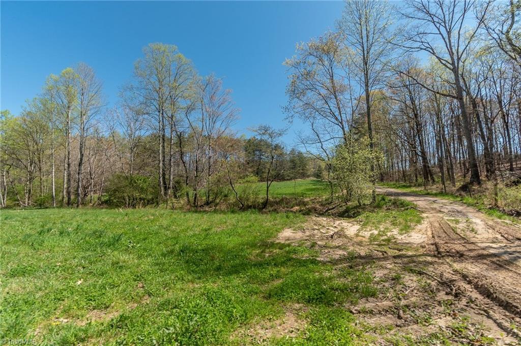 0 Mt Zion Road, Unit TRACT 6 Pinnacle, NC 27043 - Photo 13 of 25