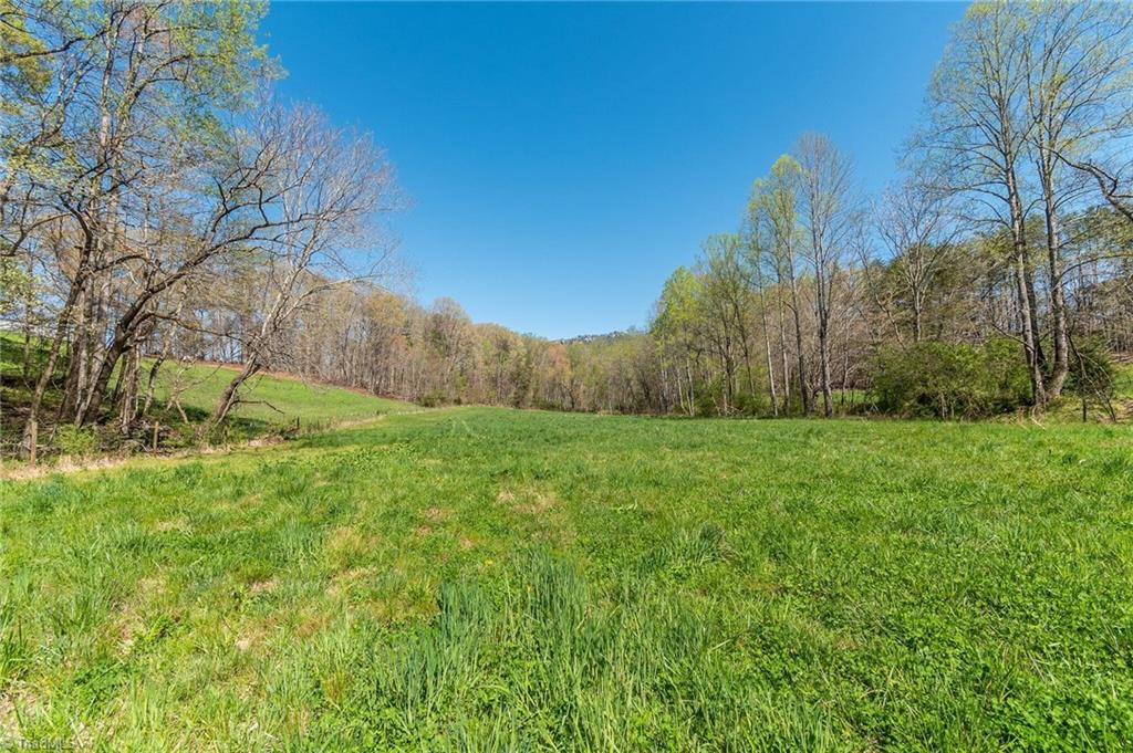 0 Mt Zion Road, Unit TRACT 6 Pinnacle, NC 27043 - Photo 14 of 25