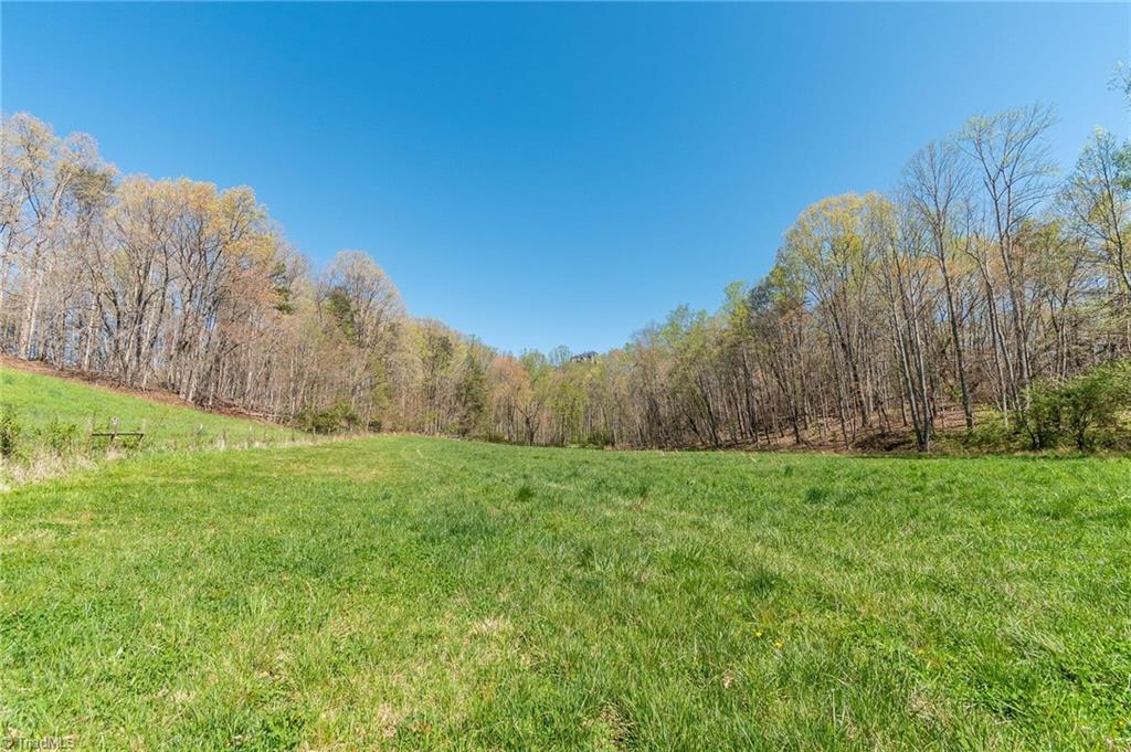 0 Mt Zion Road, Unit TRACT 6 Pinnacle, NC 27043 - Photo 15 of 25