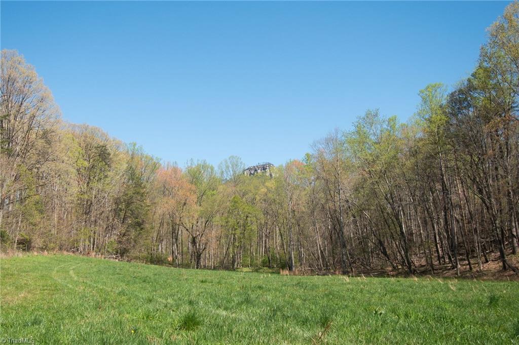 0 Mt Zion Road, Unit TRACT 6 Pinnacle, NC 27043 - Photo 16 of 25
