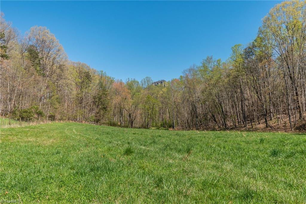 0 Mt Zion Road, Unit TRACT 6 Pinnacle, NC 27043 - Photo 17 of 25