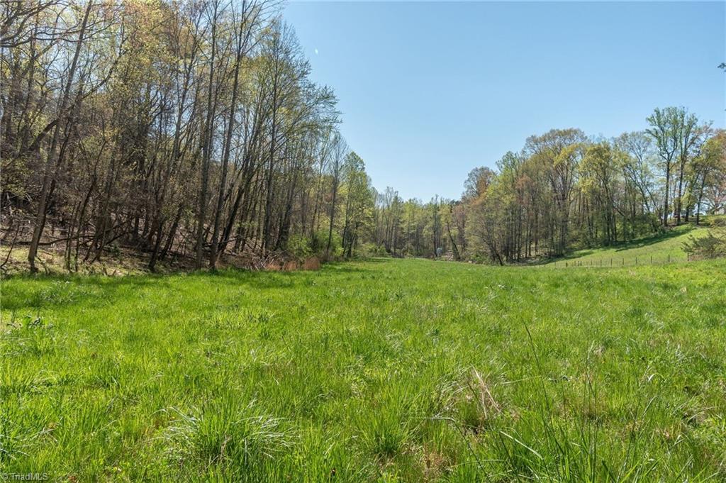 0 Mt Zion Road, Unit TRACT 6 Pinnacle, NC 27043 - Photo 18 of 25