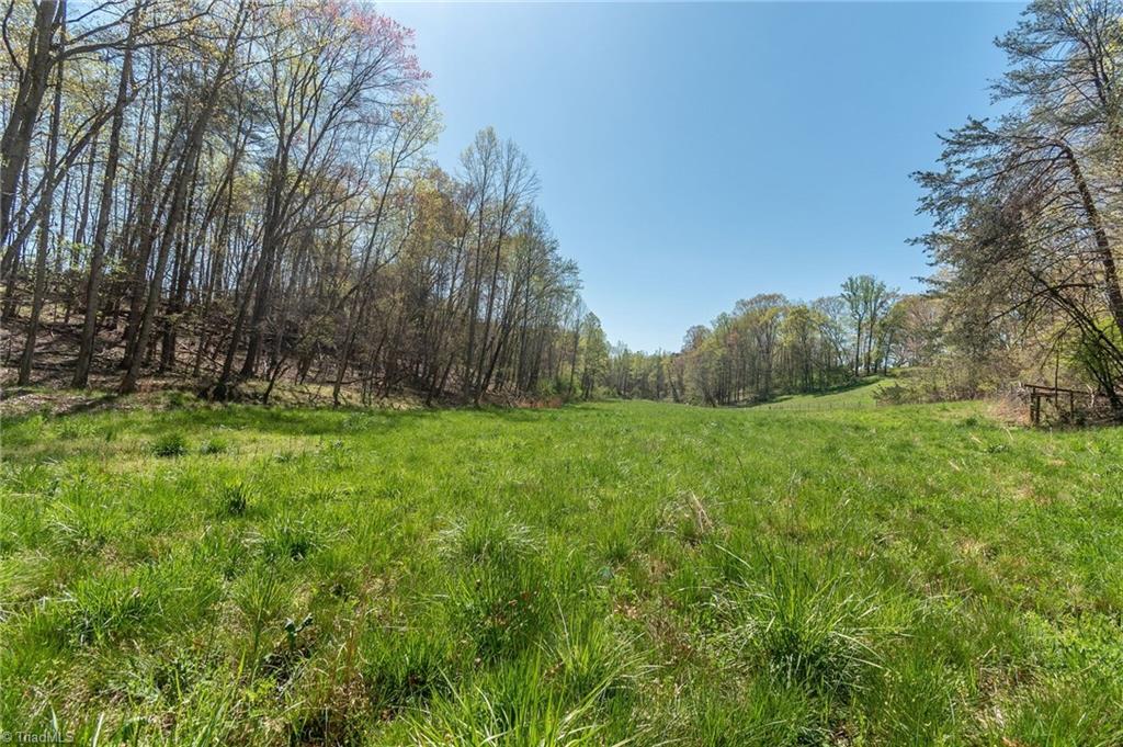 0 Mt Zion Road, Unit TRACT 6 Pinnacle, NC 27043 - Photo 19 of 25
