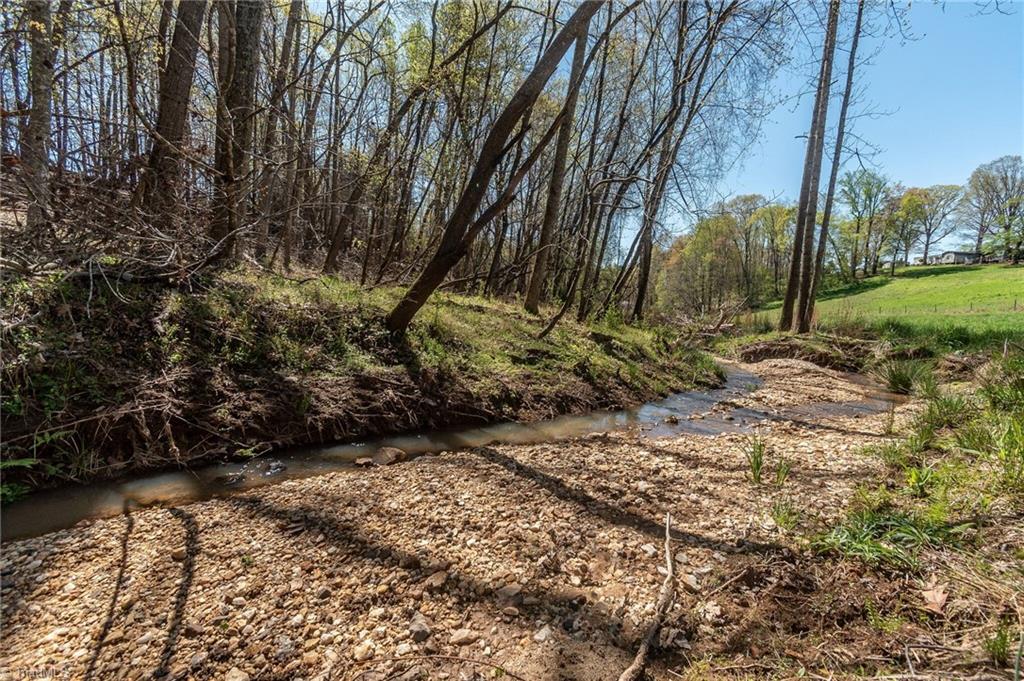 0 Mt Zion Road, Unit TRACT 6 Pinnacle, NC 27043 - Photo 20 of 25