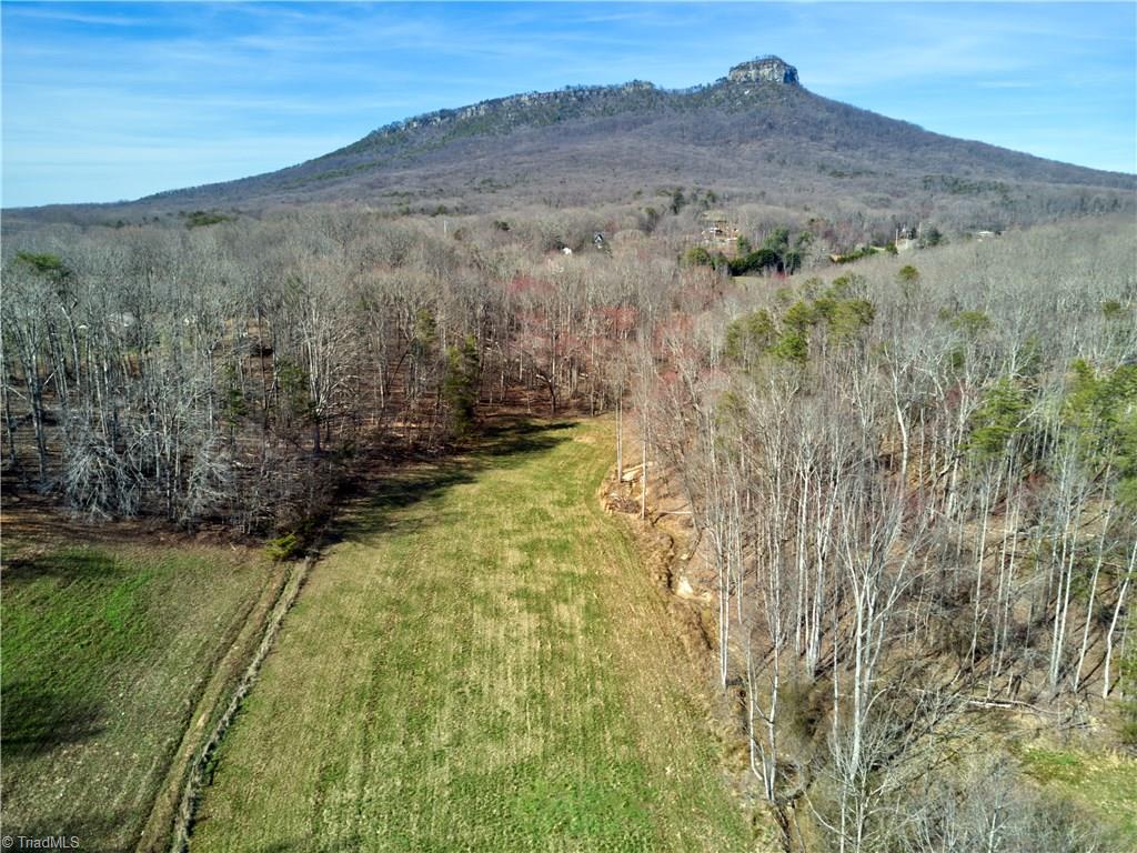 0 Mt Zion Road, Unit TRACT 6 Pinnacle, NC 27043 - Photo 3 of 25
