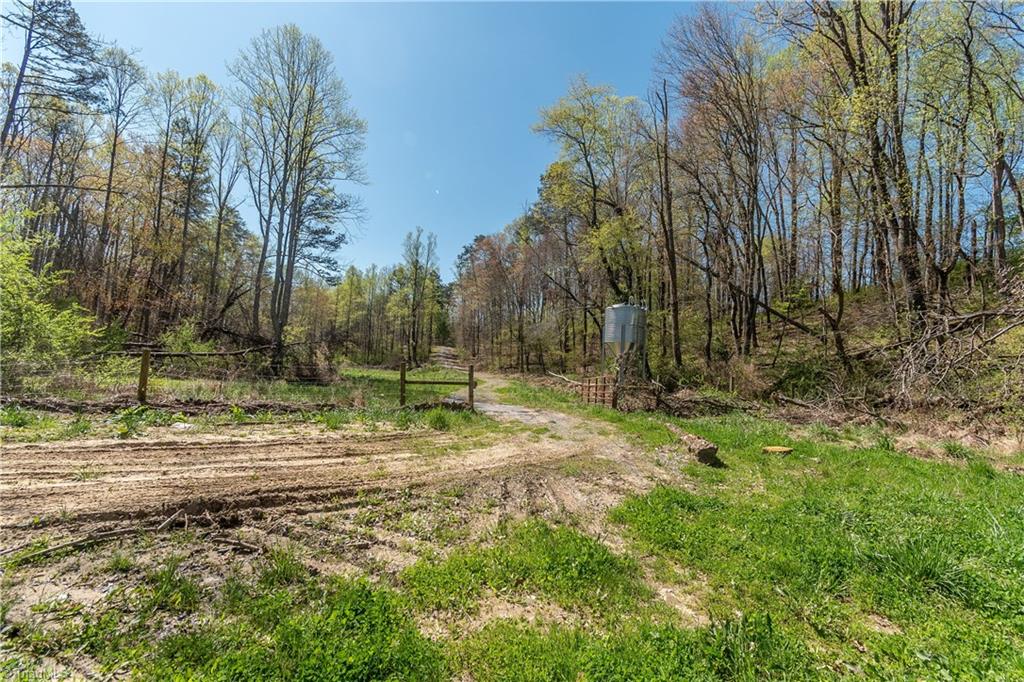 0 Mt Zion Road, Unit TRACT 6 Pinnacle, NC 27043 - Photo 21 of 25
