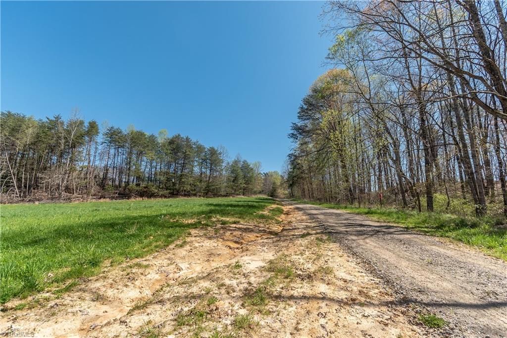0 Mt Zion Road, Unit TRACT 6 Pinnacle, NC 27043 - Photo 22 of 25