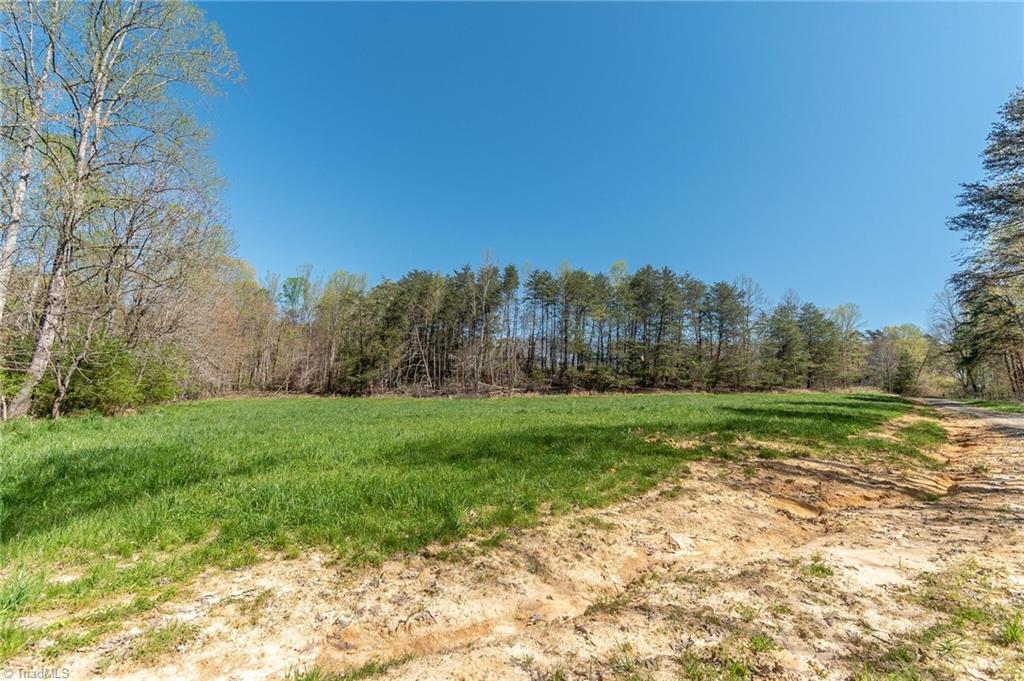 0 Mt Zion Road, Unit TRACT 6 Pinnacle, NC 27043 - Photo 23 of 25
