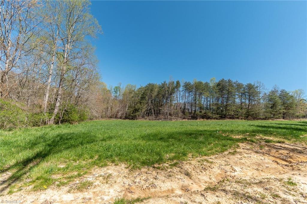 0 Mt Zion Road, Unit TRACT 6 Pinnacle, NC 27043 - Photo 24 of 25