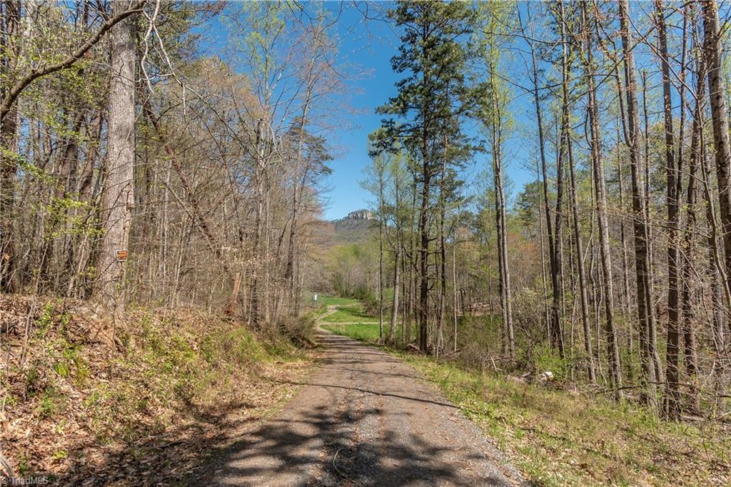 0 Mt Zion Road, Unit TRACT 6 Pinnacle, NC 27043 - Photo 8 of 25