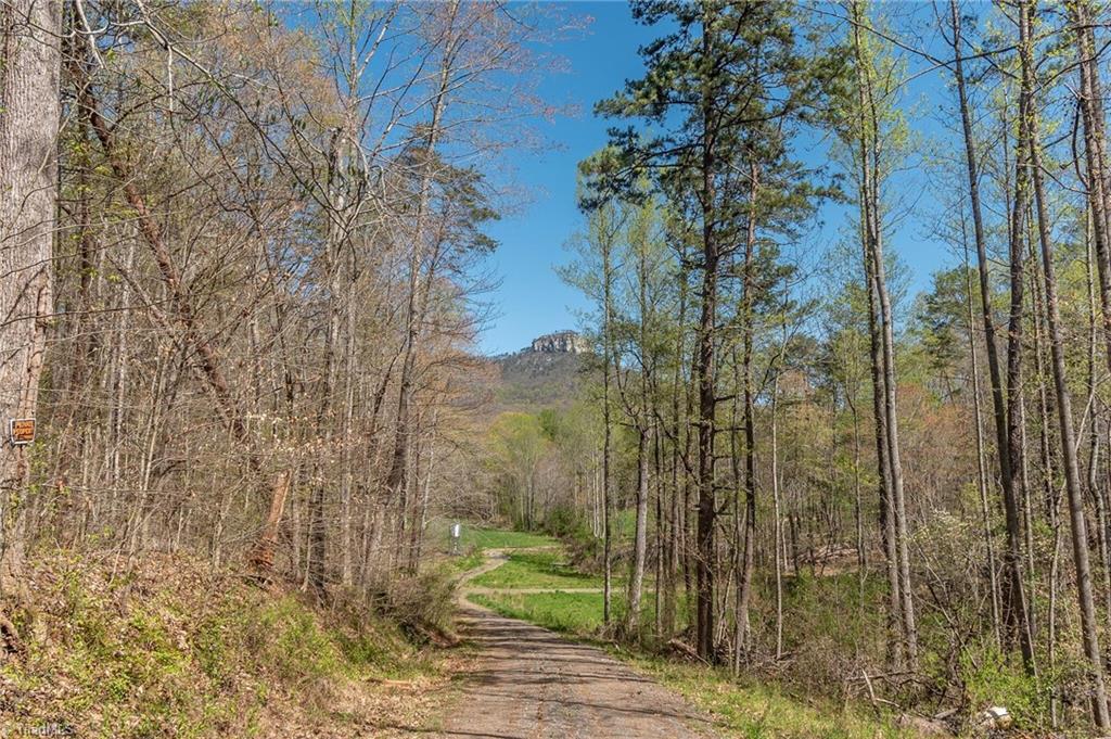 0 Mt Zion Road, Unit TRACT 6 Pinnacle, NC 27043 - Photo 9 of 25