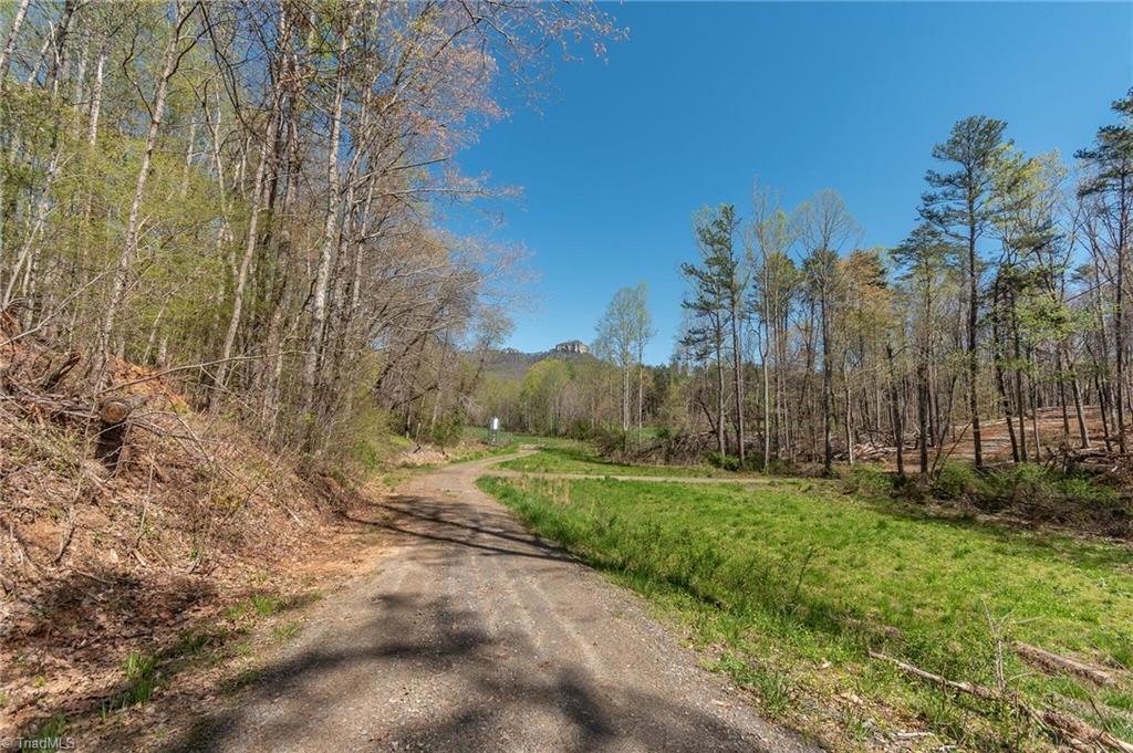 0 Mt Zion Road, Unit TRACT 6 Pinnacle, NC 27043 - Photo 10 of 25