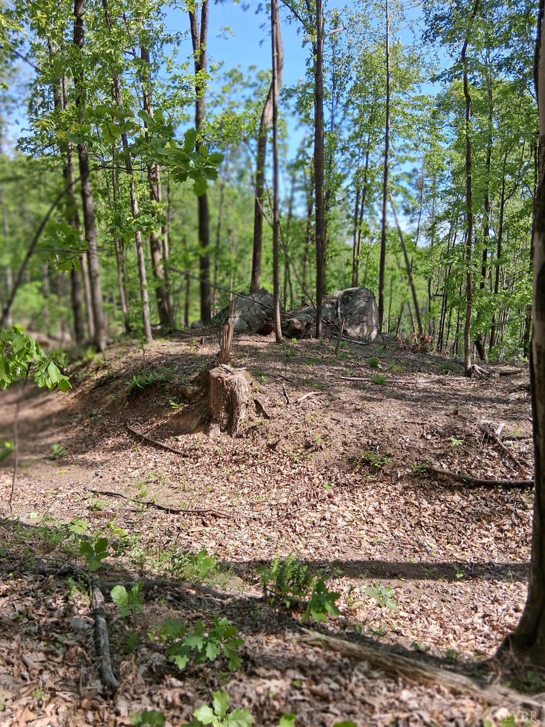 0 Robinson Gap Road Monroe, VA 24574 - Photo 27 of 44 Gallery Image 27