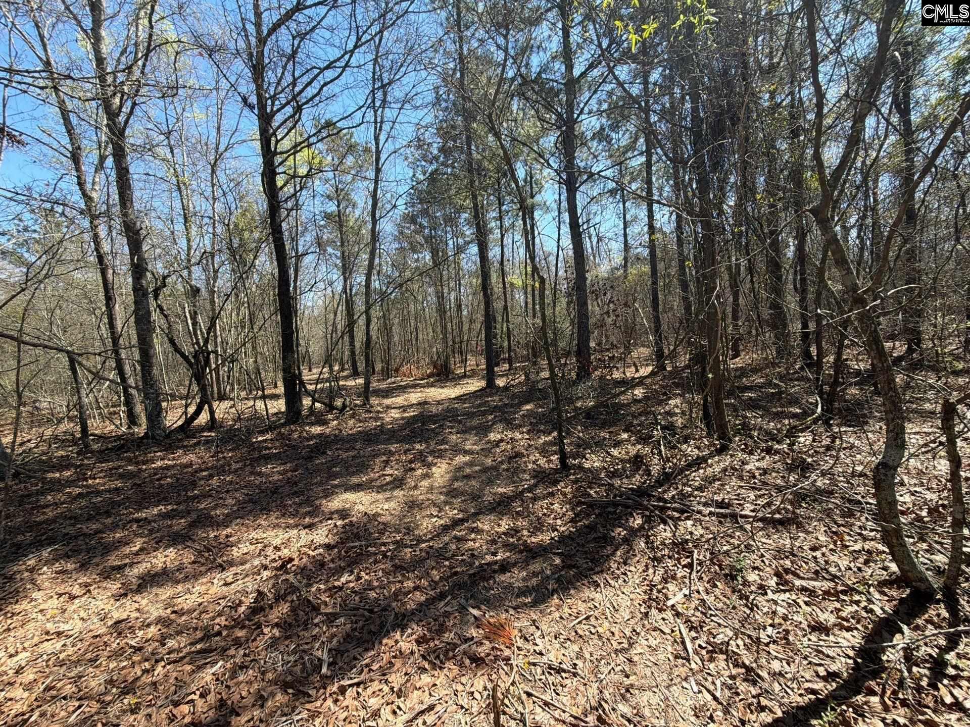 9 Boise Cascade Road, Unit BHL 9 Bethune, SC 29009 - Photo 42 of 44