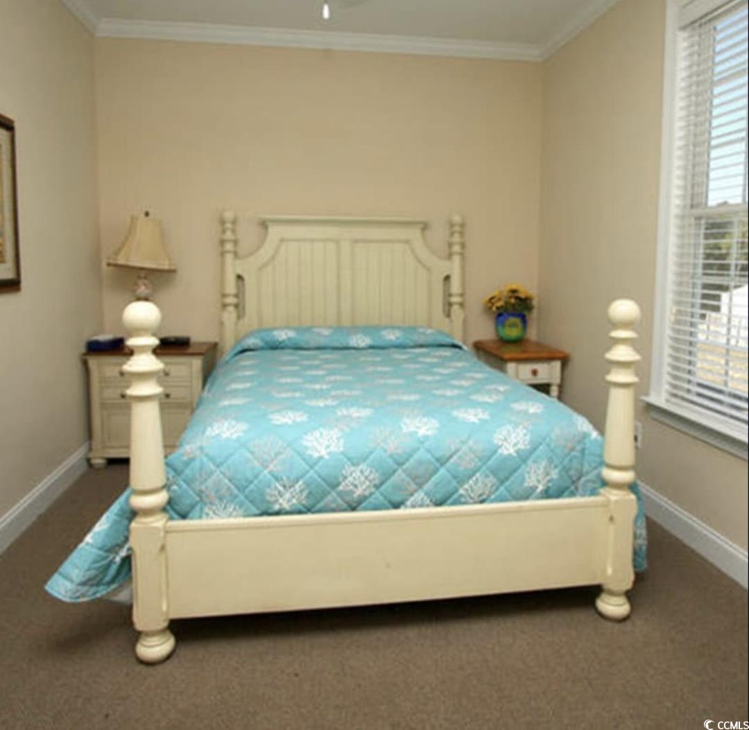 511 Caribbean Way Myrtle Beach, SC 29577 - Photo 14 of 17 Bedroom with carpet and crown molding