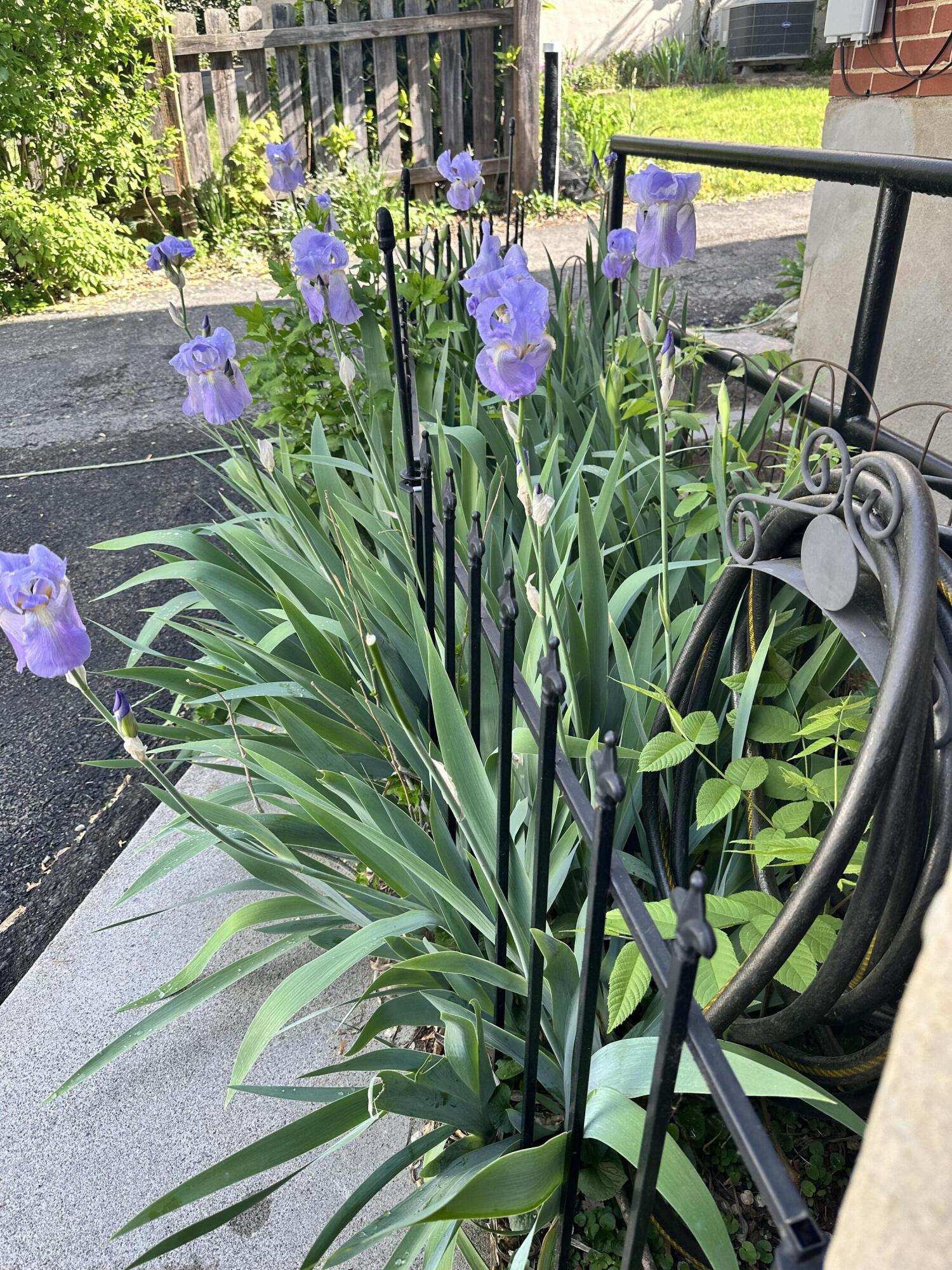 1909 Canterbury Road Southwest Roanoke, VA 24015 - Photo 62 of 65 a close up of a flower pot