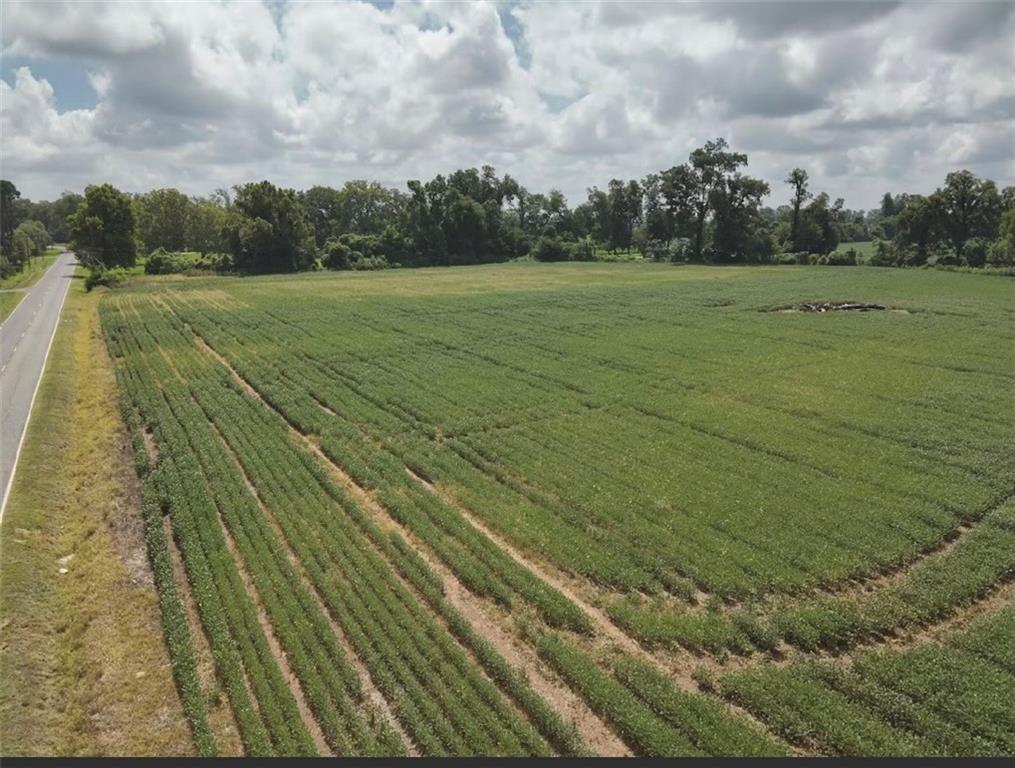 Tbd Bayou Rapides Road Alexandria, LA 71303 - Photo 6 of 6