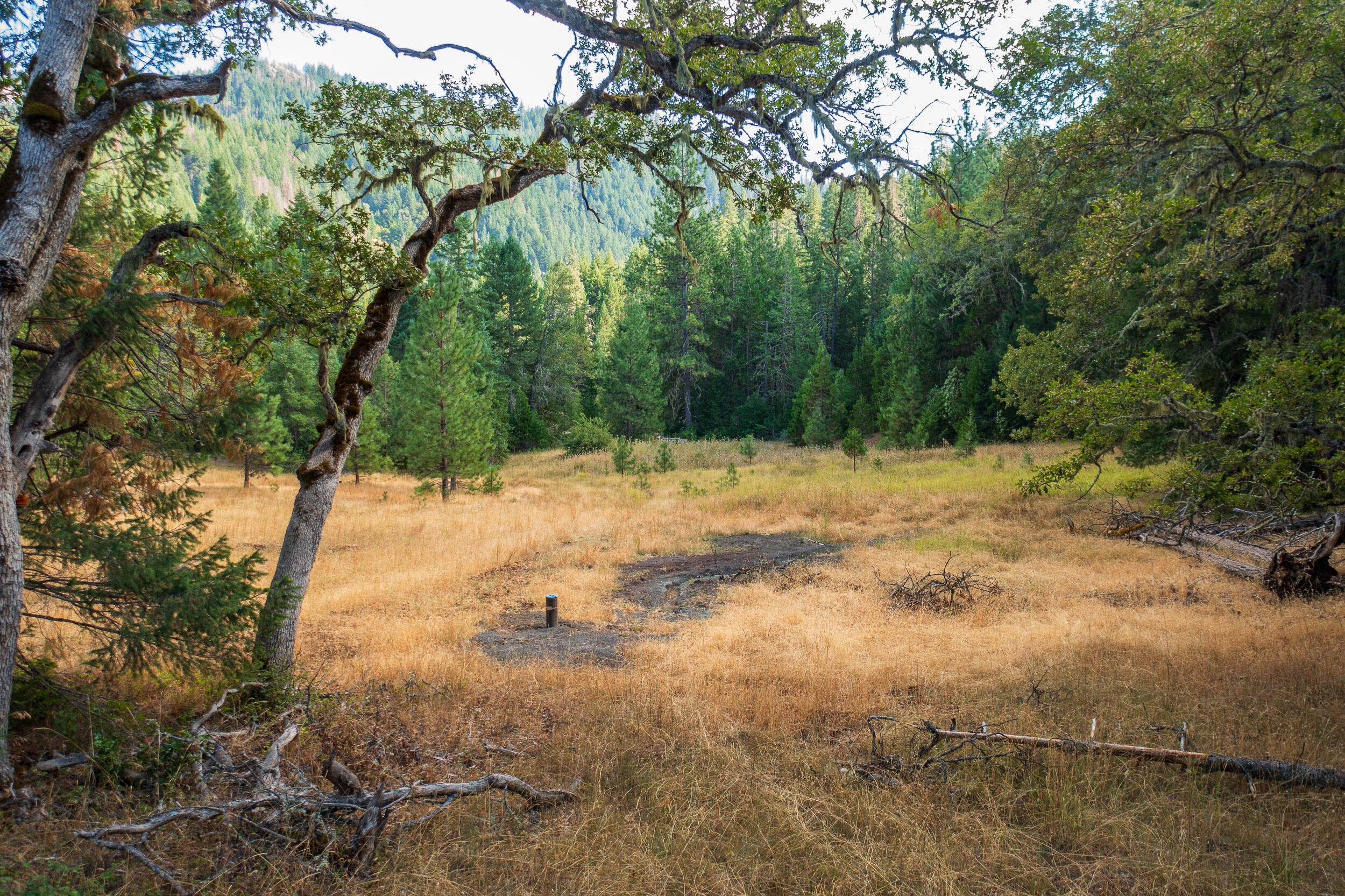 0 Buckhorn Springs Road Ashland, OR 97520 - Photo 28 of 39 Final (29)