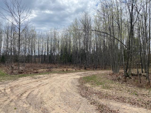 4722 Stella Lake Road Rhinelander, WI 54501 - Photo 11 of 23 Gallery Image 11
