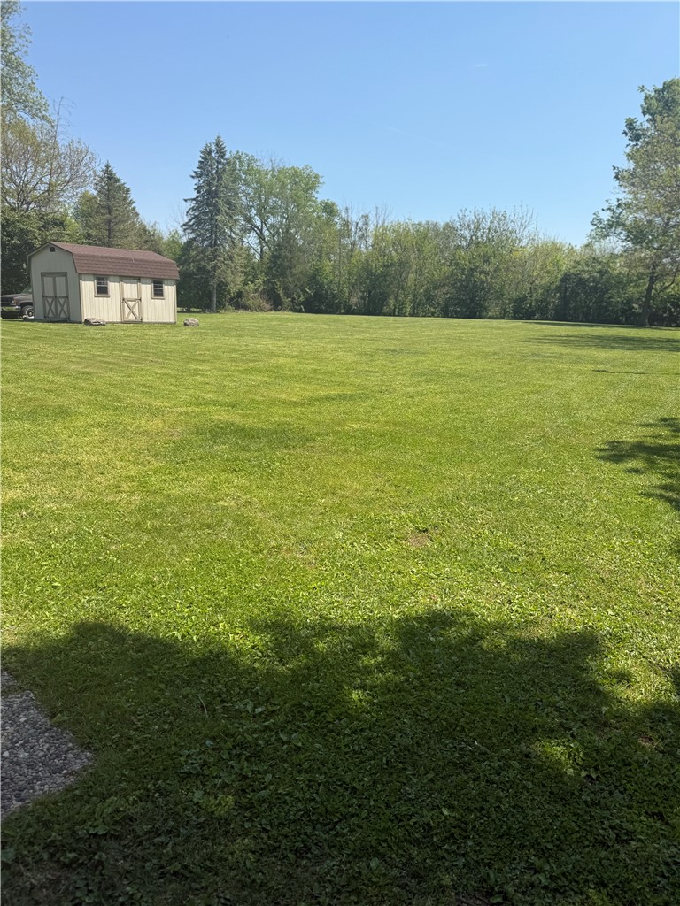 5840 Pitchin Road South Springfield, OH 45502 - Photo 17 of 18 Expansive green lawn extends to a sturdy shed, bordered by mature trees and clear blue skies.