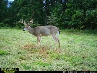 0 Lovett Road Long Bottom, OH 45743 - Photo 25 of 39 IMG_0236