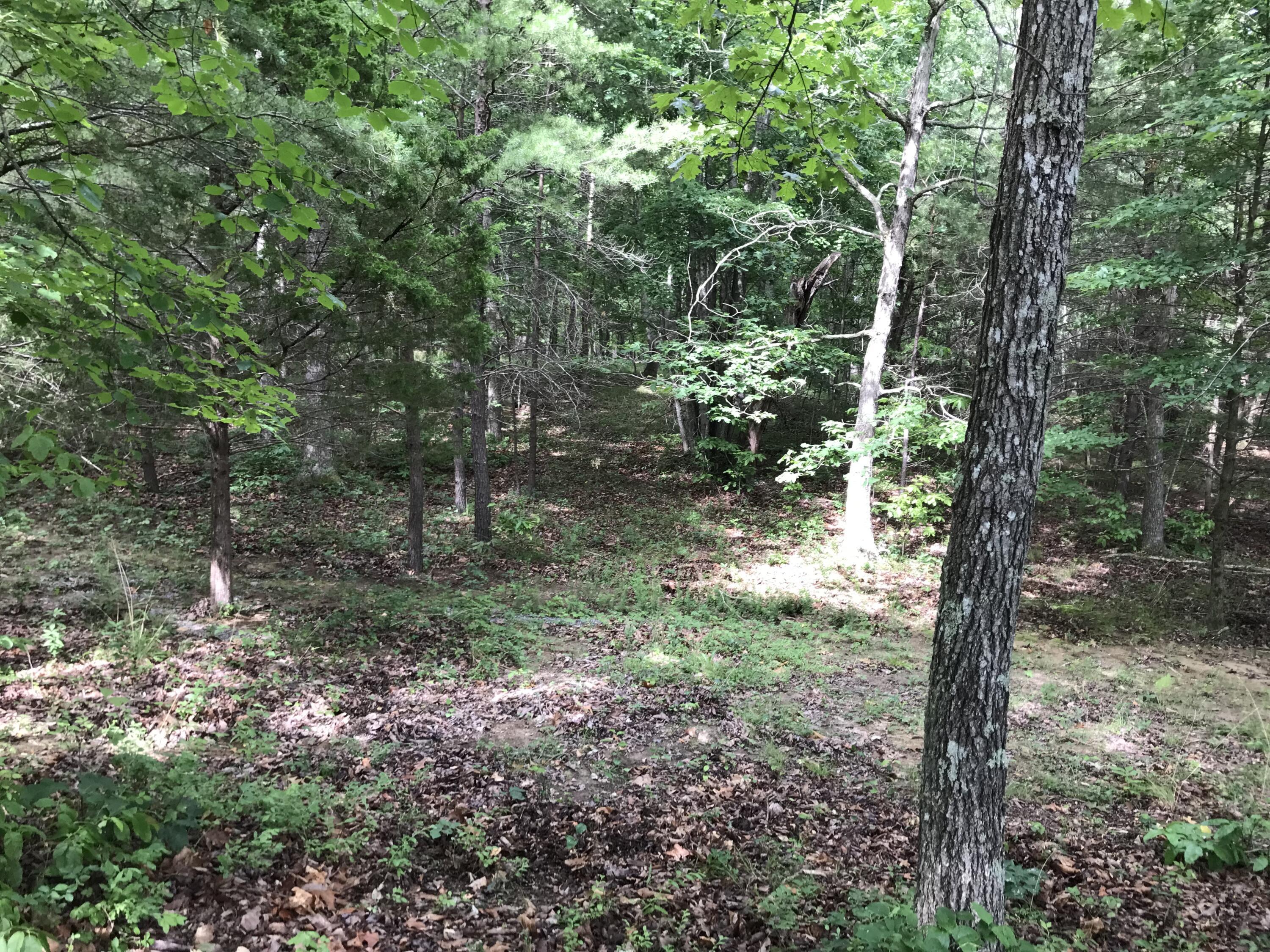 0 Quail Trail, Unit 38 Dunlap, TN 37327 - Photo 28 of 36 IMG_8517